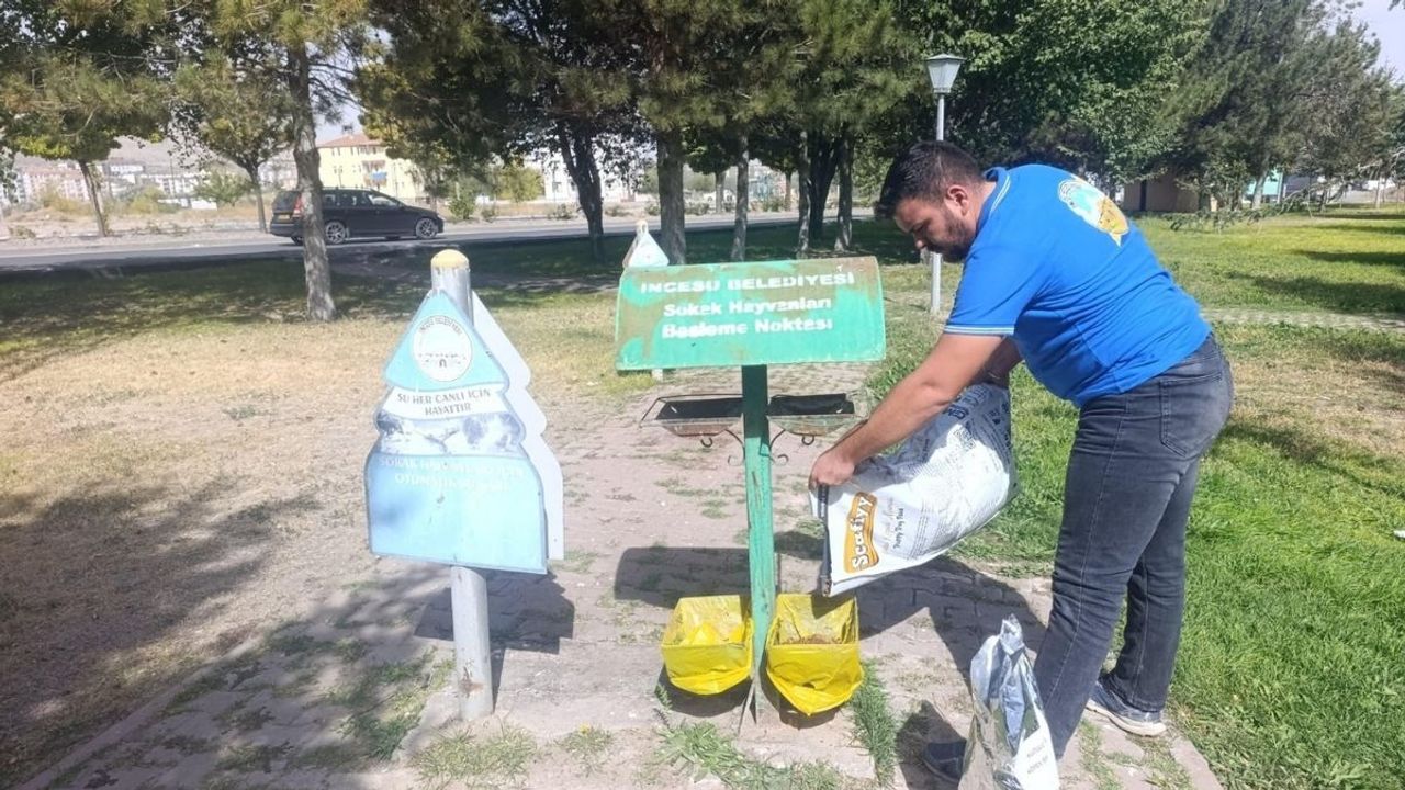 İncesu Belediyesi ‘’Sokak hayvanlarını korumak hepimizin görevi’’