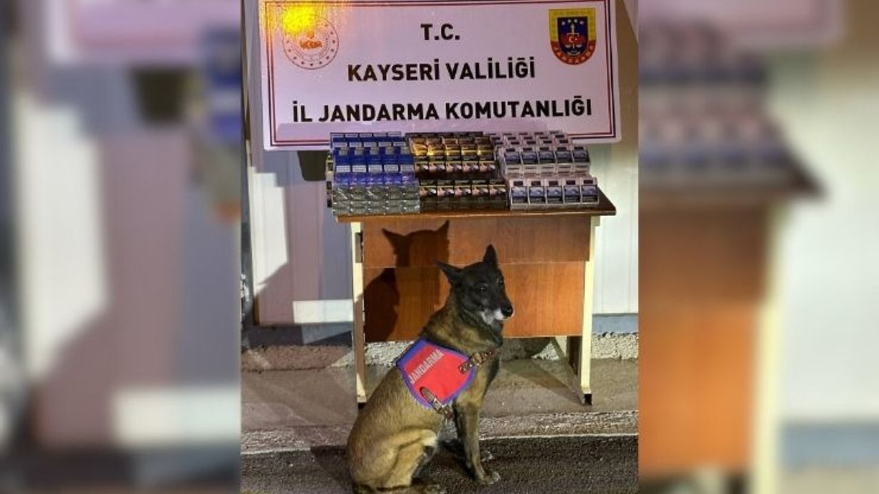Kayseri’de Jandarma yüzlerce paket bandrolsüz sigara ele geçirdi