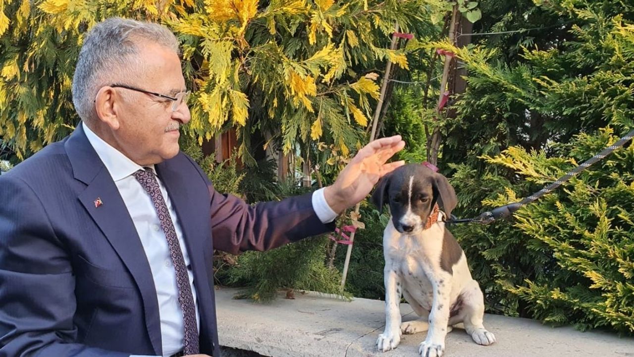 Kayseri’de sahipsiz hayvanlara sürdürülebilir destek: Belediye mama üretecek!