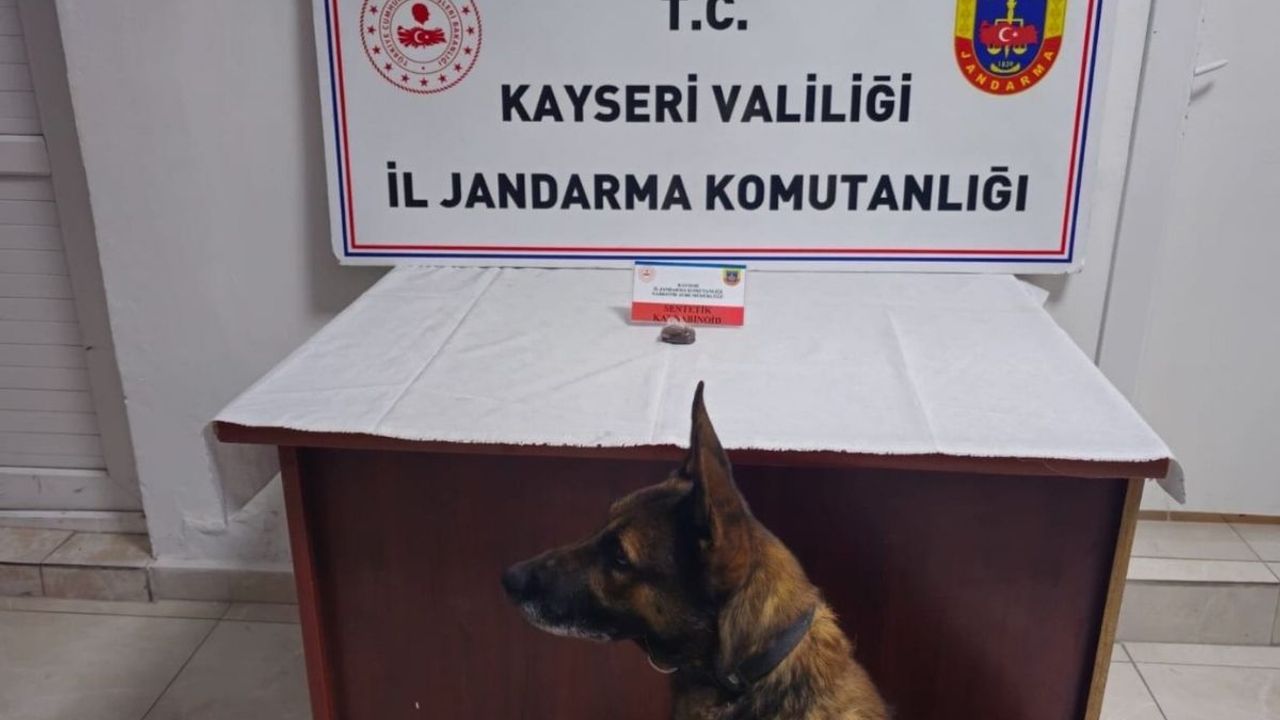Kayseri Gesi'de arabada yapılan aramada bonzai ele geçirildi