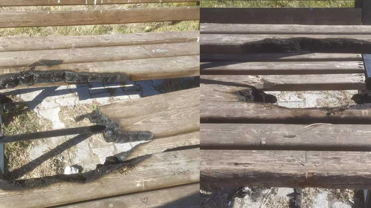 Kayseri' Tomarza’da kamu malına saldırı: Kamelyaları yaktılar!