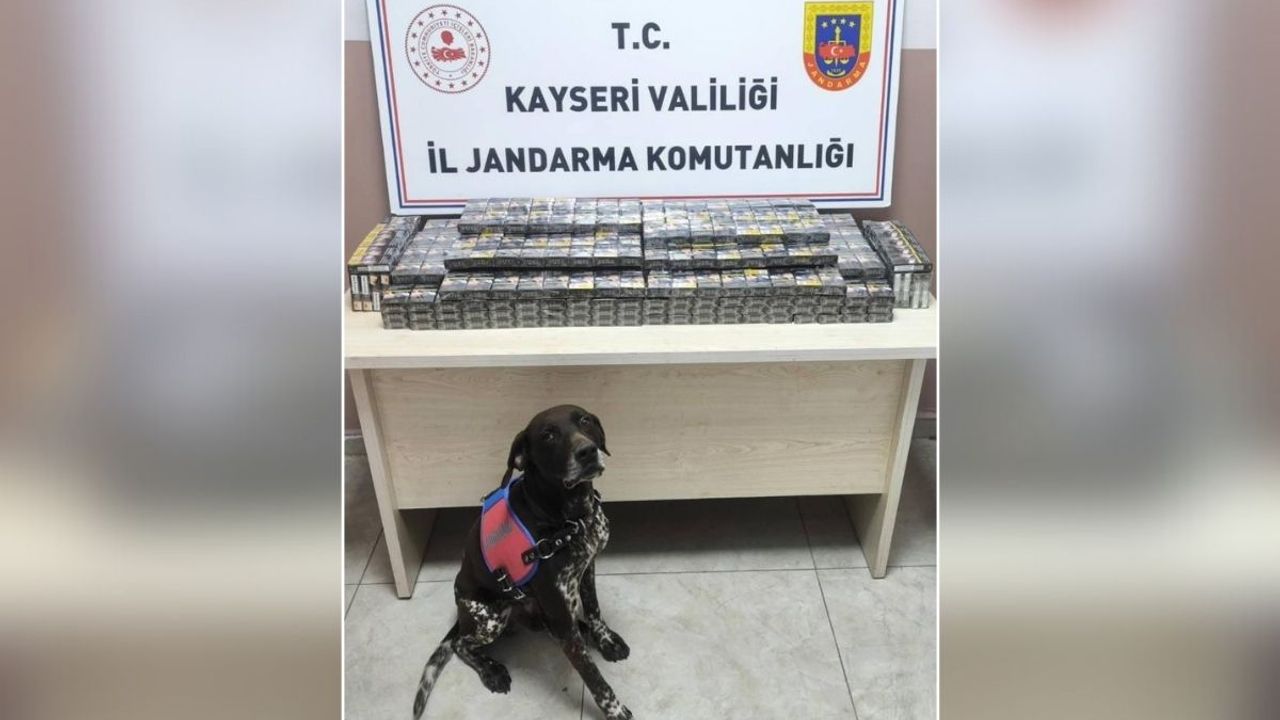 Kayseri'de 2 tırda yüzlerce paket kaçak sigara yakalandı