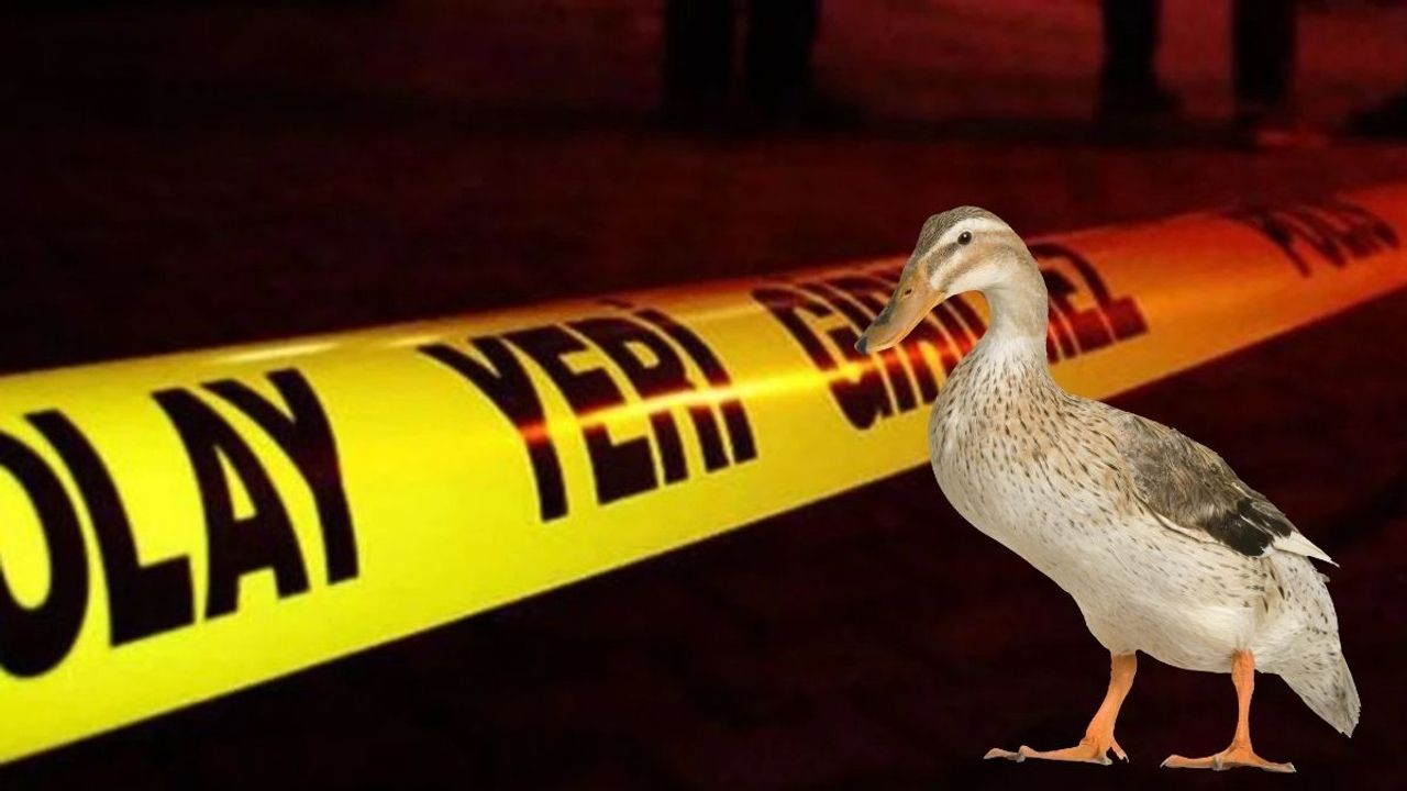 Baba-oğul ördek avına gittiler: 16 yaşındaki oğlunu tüfekle vurdu!