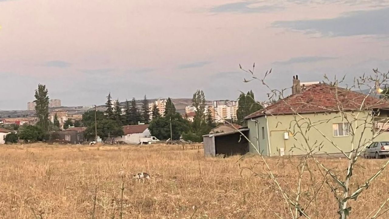 Şehit babasını darp eden baba ve oğul, uzun namlulu silahlı saldırıda yaralandı!