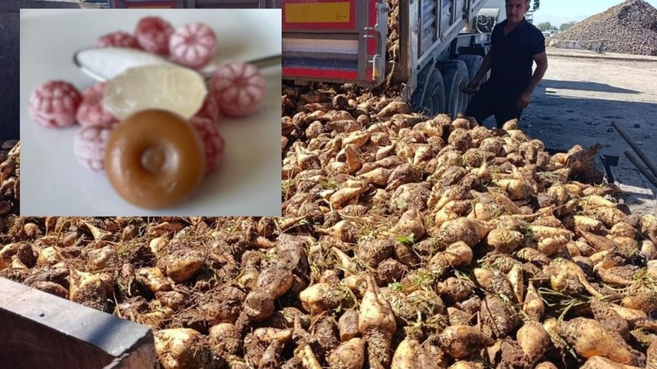 Şeker fabrikalarında metal kalıntısı! Bakanlık harekete geçti