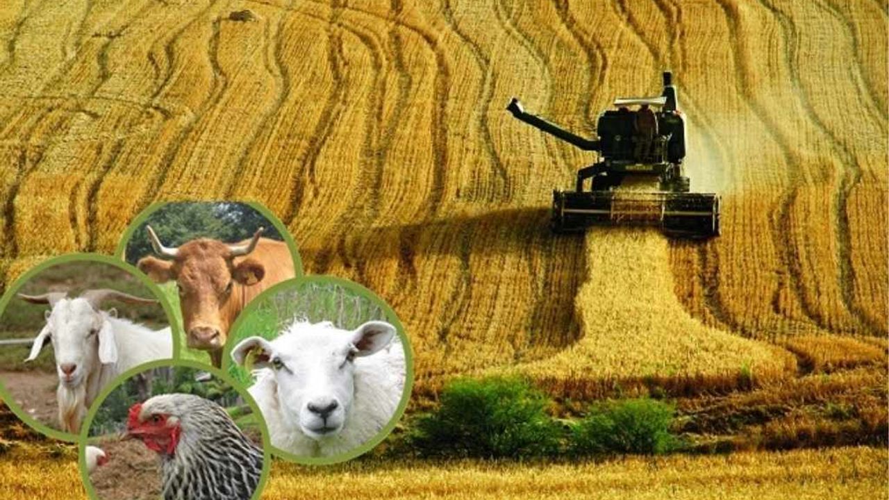 Üreticiye kötü haber: Borcu olan destek alamayacak!