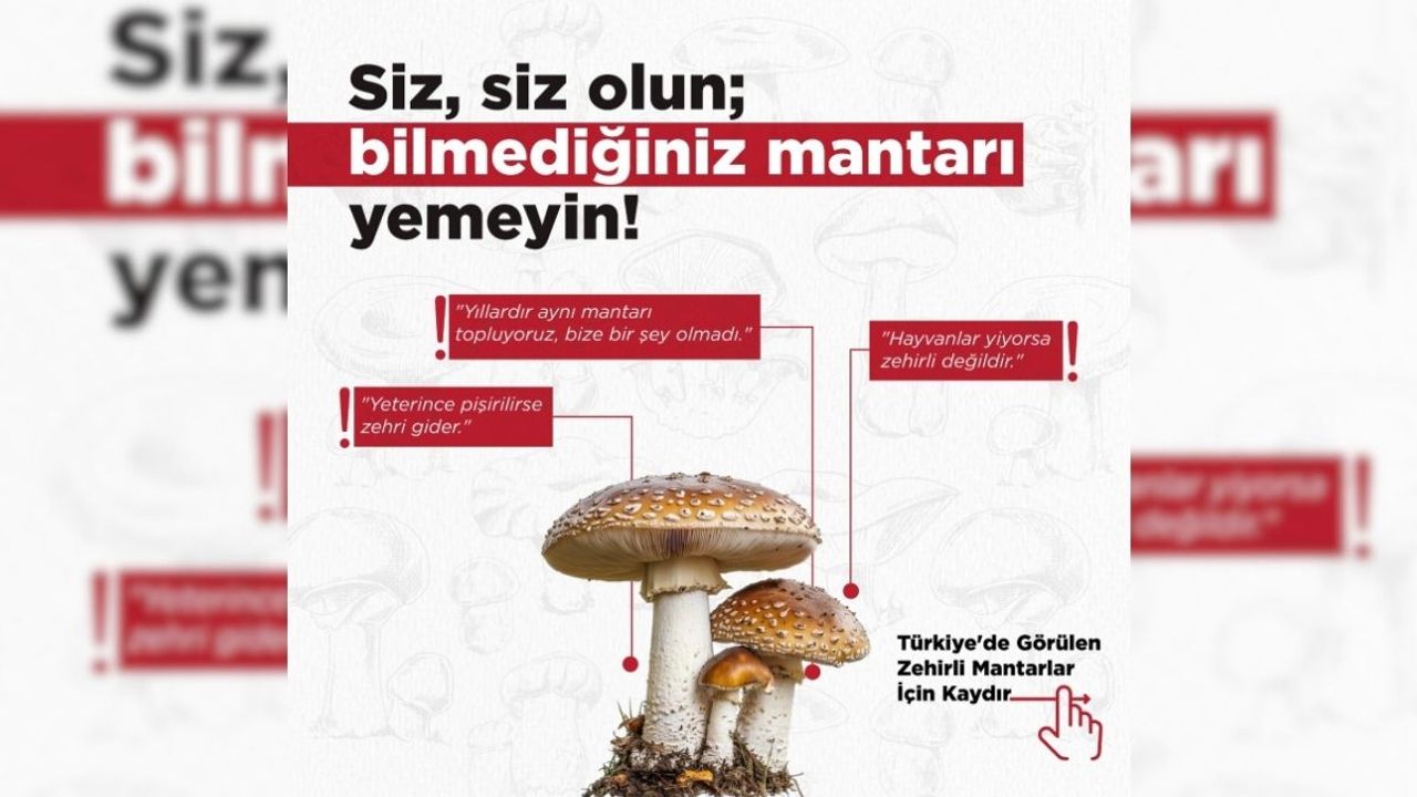 Zehirli mantarlara dikkat: Sezonun başlamasıyla Tarım ve Orman Bakanlığı uyardı!