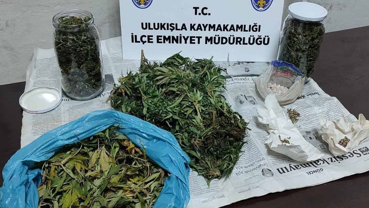 Niğde'de dev yasaklı madde operasyonu: 13 gözaltı!