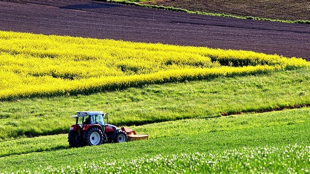 Kayseri'de en hızlı ve en güzel yetişen bitki listesi: Buna bakmadan ekmeyin