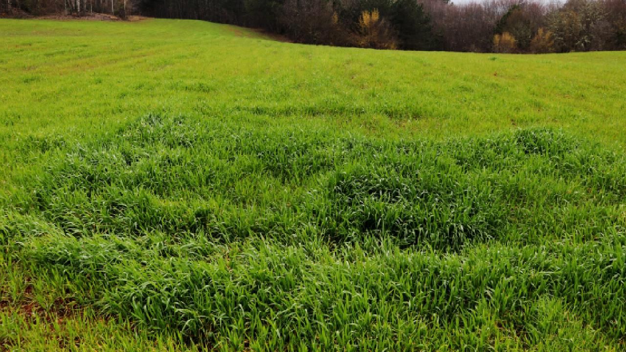 İncesu'da 5 dönüm alan icradan diye resmen bu rakama satılacak: İşte son tarih