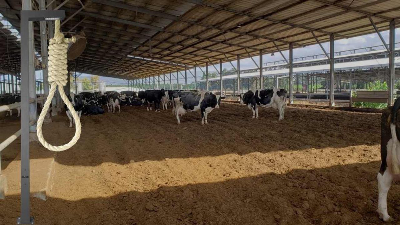 Şüpheli ölüm: 17 yaşındaki genç ahırda asılı halde bulundu!