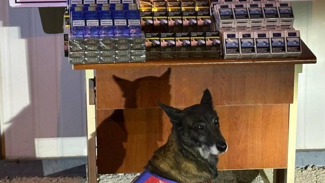 Kayseri’de kaçak sigara operasyonu: yüzlerce paket ele geçirildi