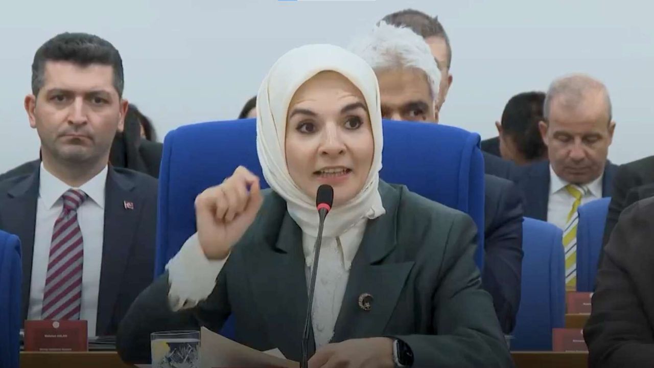 Bakan Göktaş’a milletvekilinden: ‘Sen doğmamıştın o zaman!’