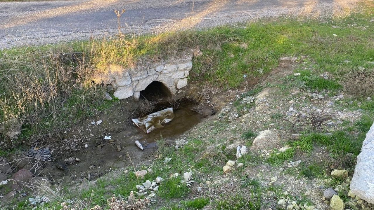 Boş arazide yeni doğmuş bebek cesedi bulundu!