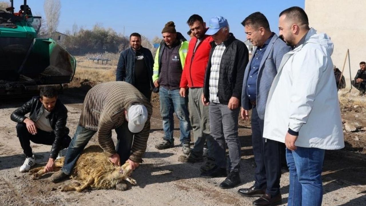 Bünyan Hazerşah'ta asfalt döküldü kurban kesildi: Başkan Metin çalışmaları yerinde inceledi
