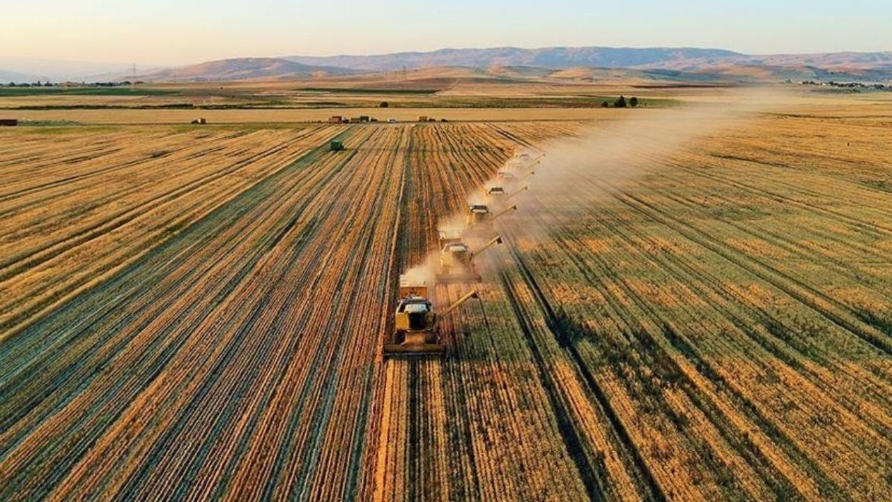 Çiftçilere 711 Milyon TL destek ödemesi başladı