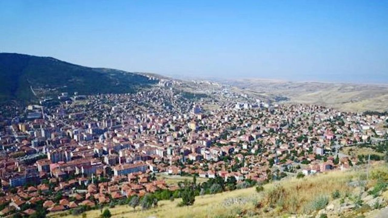 Yozgat Sarıkaya’da toplu köpek katliamı iddiası!