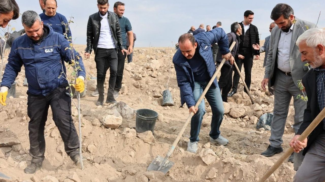 Cumhurbaşkanı Erdoğan’ın himayesinde başlatıldı: İncesu’da fidan dikimi Başkan İlmek’ten