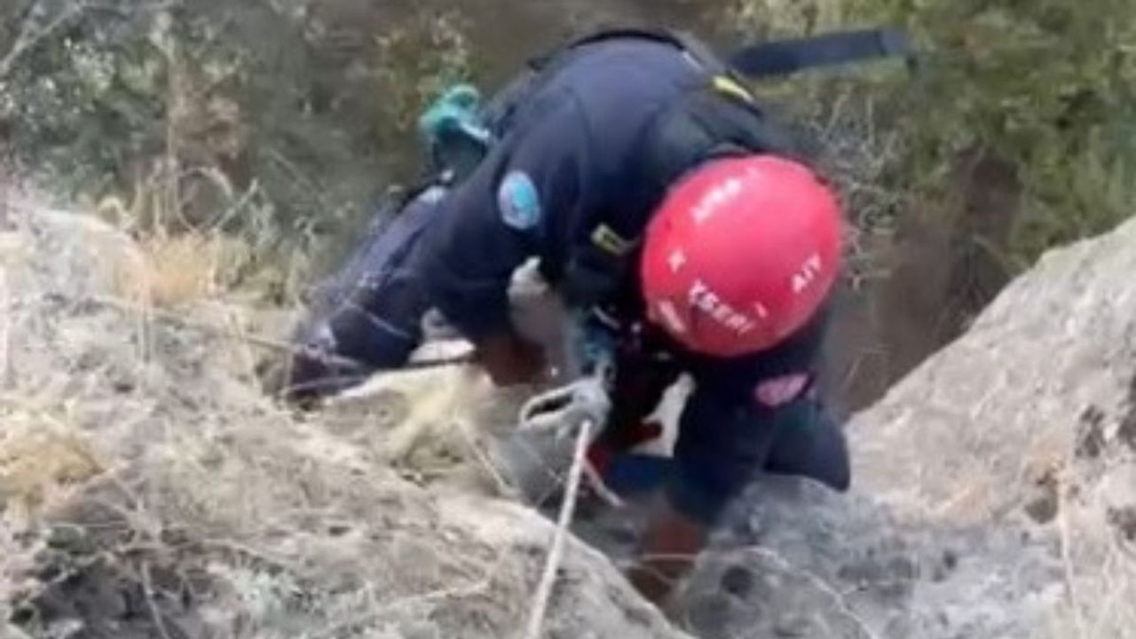 Kayseri itfaiyesi uçuruma düşen keçiyi kurtardı