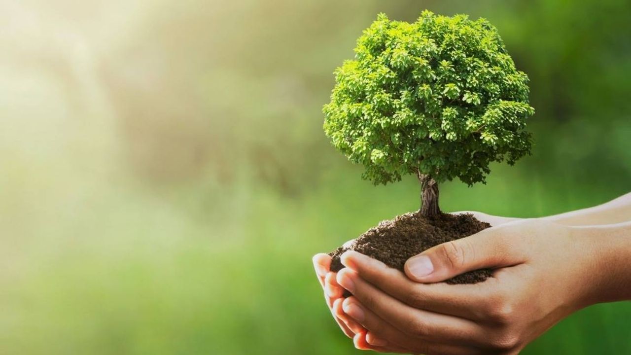 Kayseri Kocasinan'da fidan dikimi:Türkiye'ye nefes ol kampanyası devam ediyor!