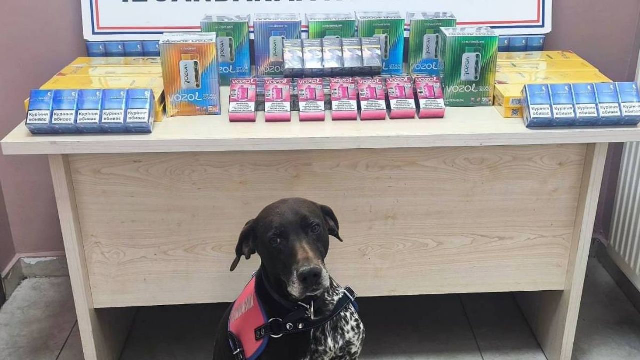 Kayseri-Malatya karayolunda iki tırdan kaçak ürün bulundu!