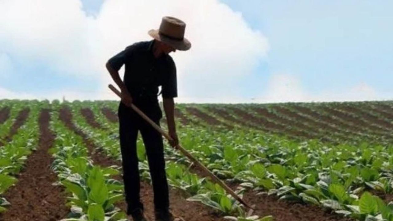 Kayserili çiftçilere müjde: Tarımda gelir kapısı bulundu!