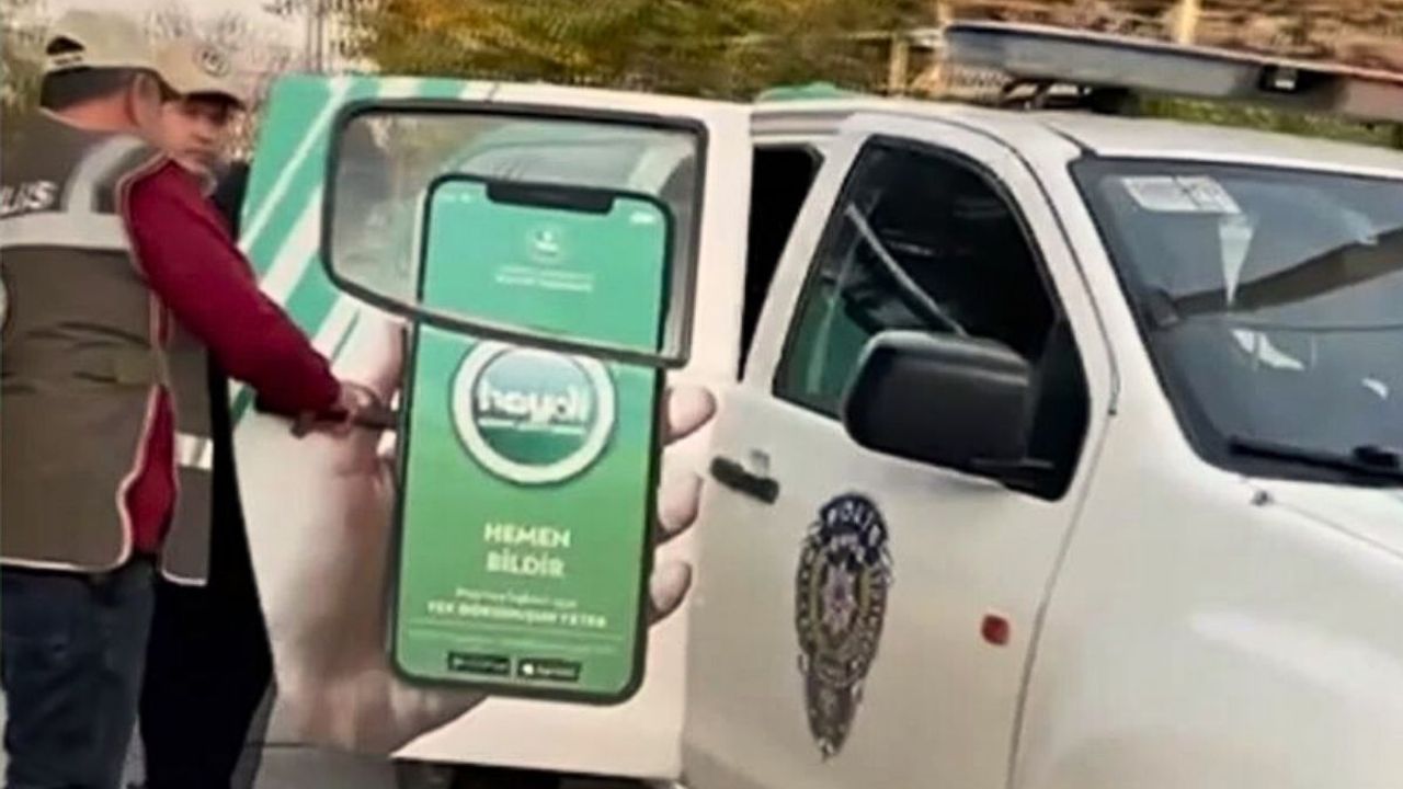 Kayseri’de sokak kedisine çarpıp kaçan sürücüye ceza yağdı