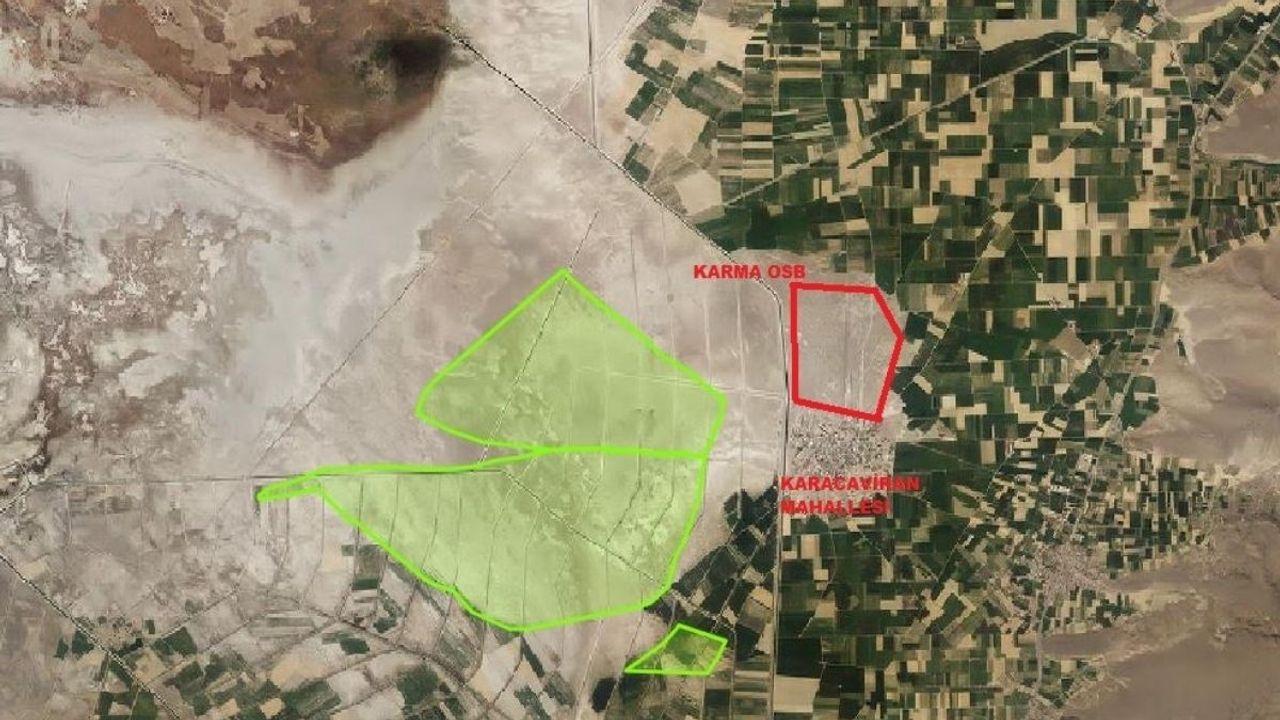 Develi'de 4 bin 800 dekar mera hayvancılığa kazandırıldı