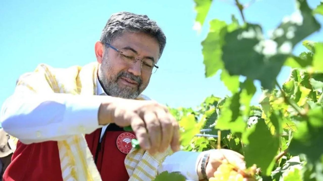 Milli Ağaçlandırma Günü'nde kaç milyon fidan dikildi?