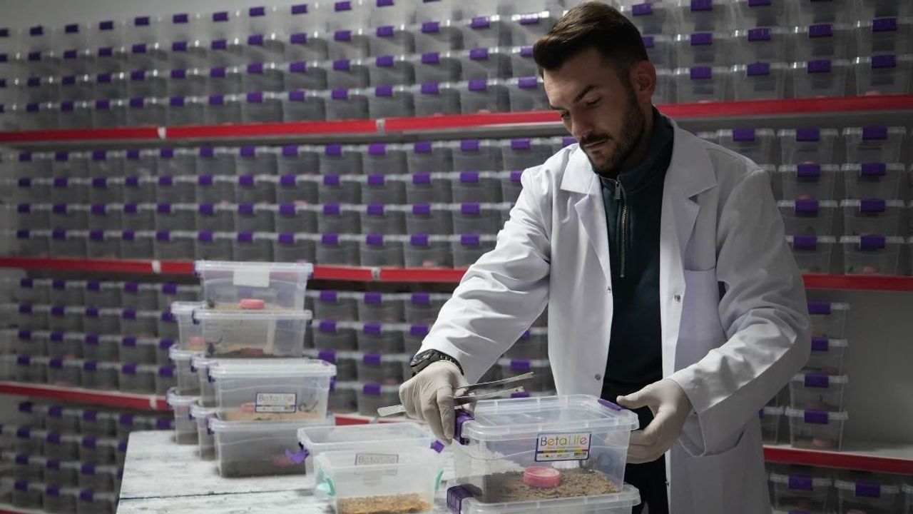 Niğdeli İhsan Nacar akrep zehrini dünyaya satıyor!