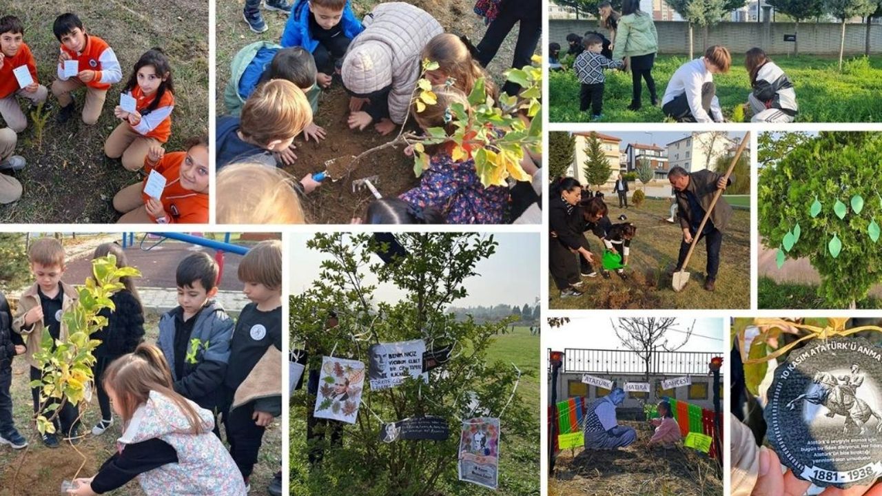 Öğrenciler 81 ilde 'Yeşil Vatan' için fidan dikti