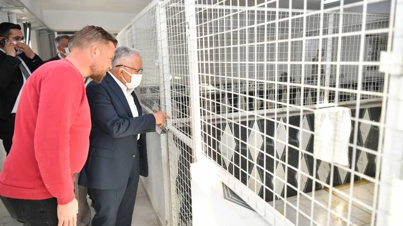 Pınarbaşı’na yeni açık hayvan barınağı geliyor