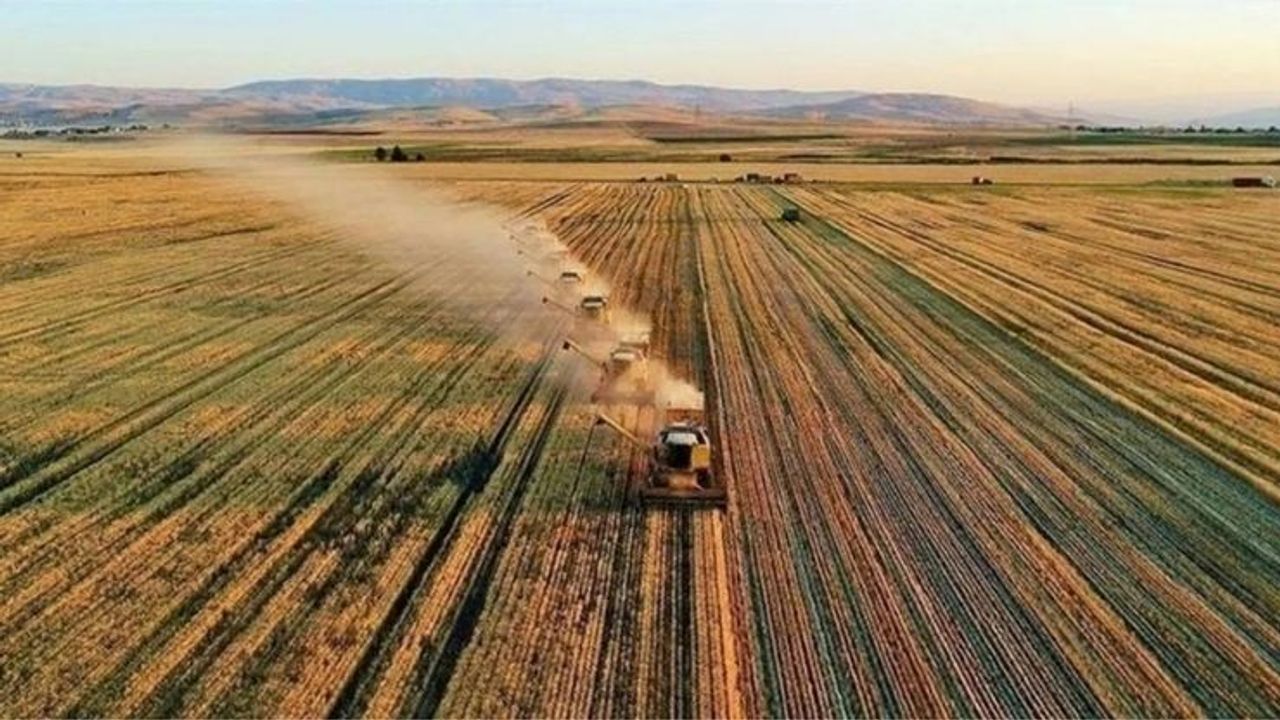 Kayserili çiftçilere büyük destek: 7 Kasım itibariyle hesaplarına yatacak