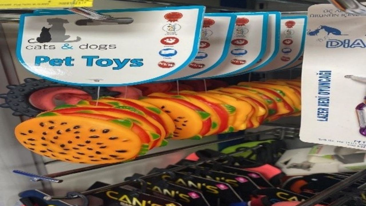 CarrefourSA’da satılıyordu! Yok satan oyuncak bakın neden toplatılıyor