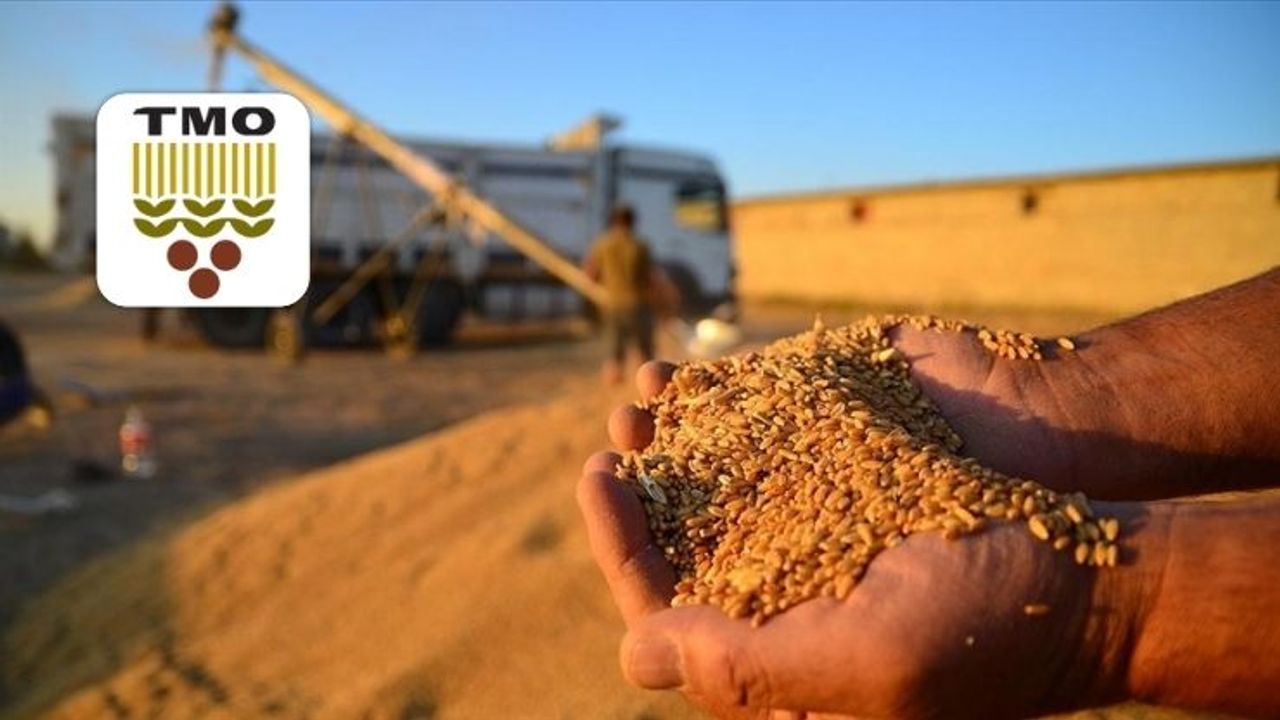 TMO'nun 2026 alım hedefini açıkladı: Buğday ve şeker pancarı alımı ne kadar olacak?