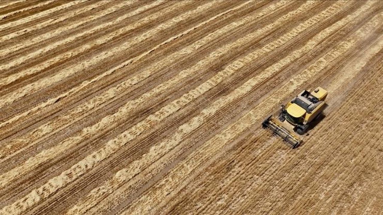 Veriler açıklandı: Kayseri tarım alanında kaçıncı sırada?