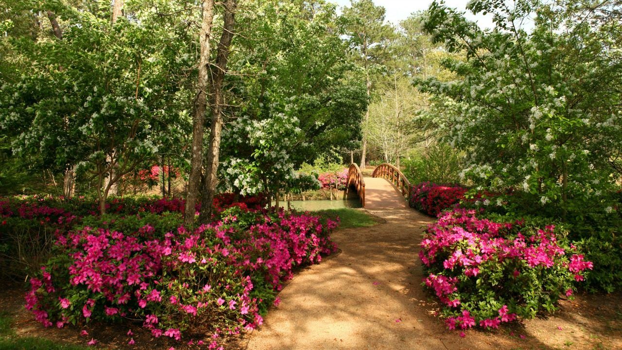 Psikolojiye Göre Mutlu İnsanların En Sık Tercih Ettiği Renkler Ortaya Çıktı