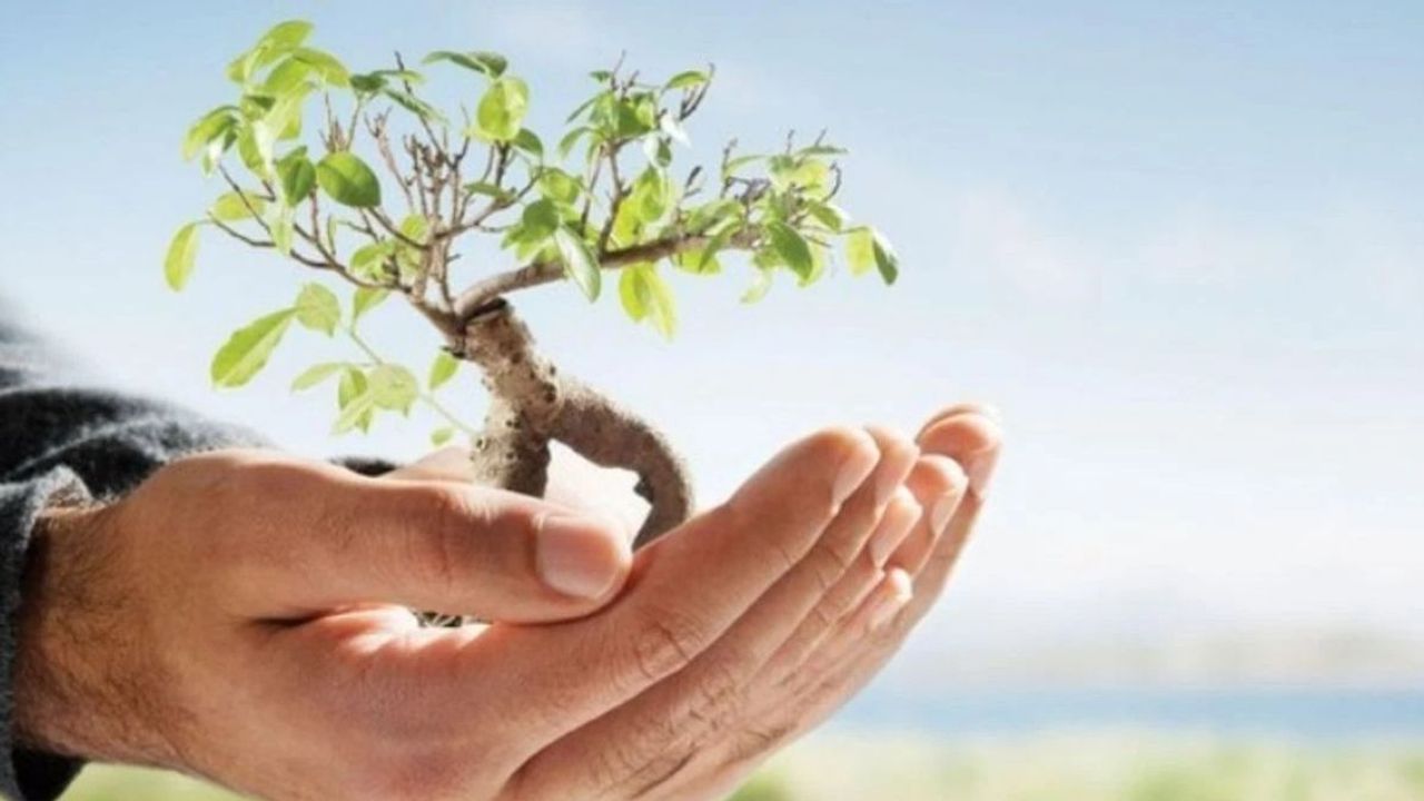 Çevre için rekor bütçe: Harcamalar ikiye katlandı