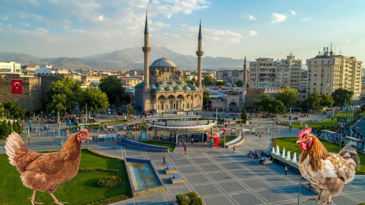 Cumhuriyet Meydanı’nda titiz denetim: Hedefte tavuklar vardı!