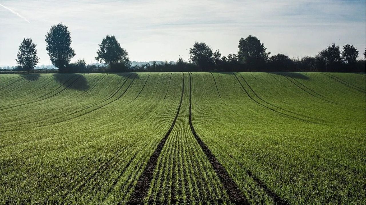 Kayseri’ye 130 km uzaklıkta tarla satışta: Başvurular başladı!