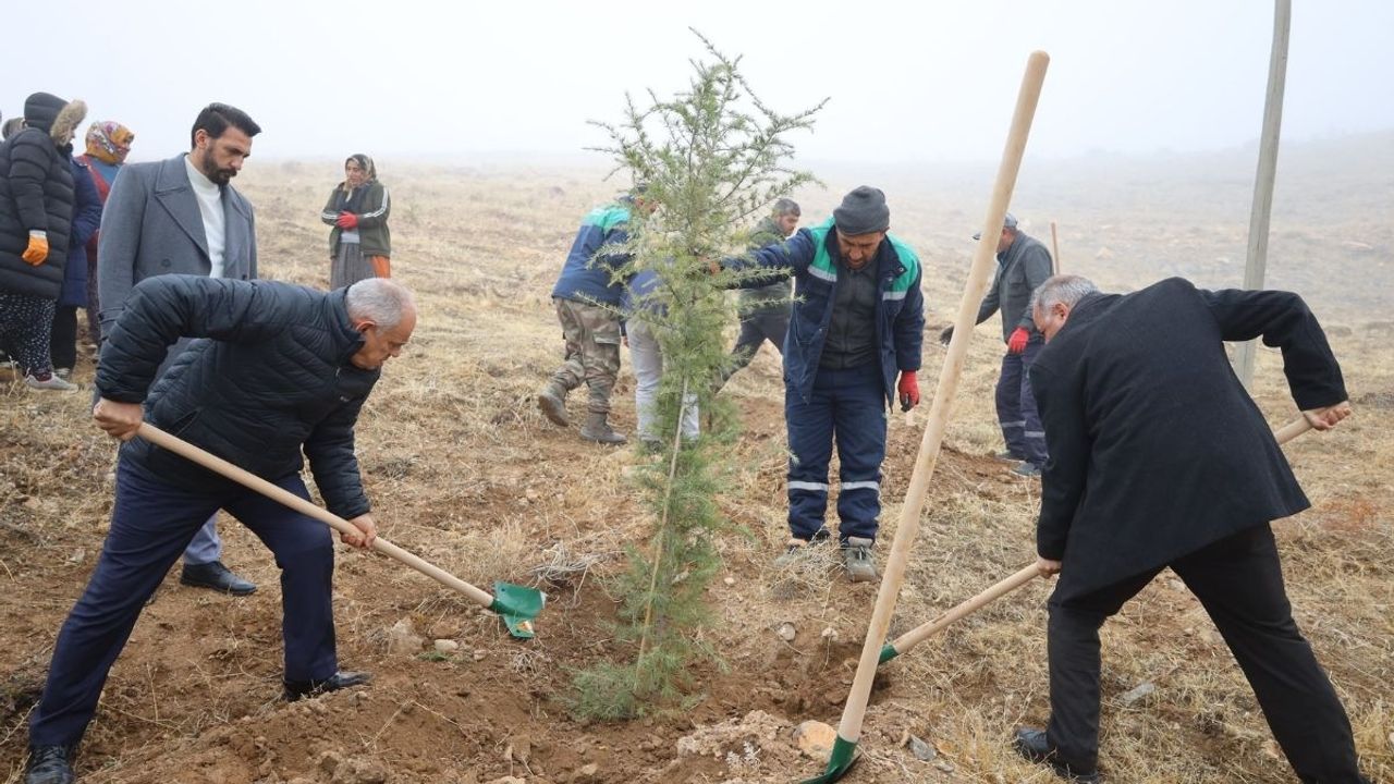 Ağcaşar Barajı yeşile bürünüyor: Yahyalı’da 1000 fidanla çevre seferberliği