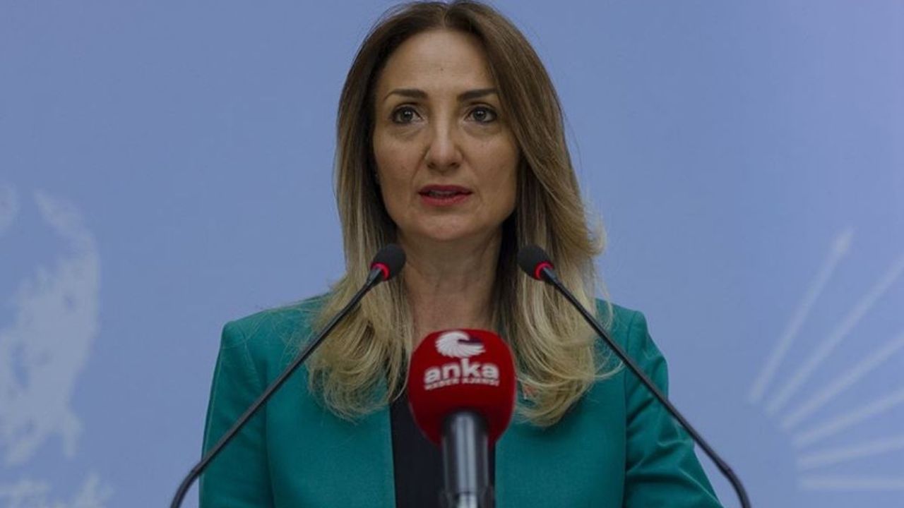 Nazlıaka: Mücadelemiz eşit temsil için sürüyor