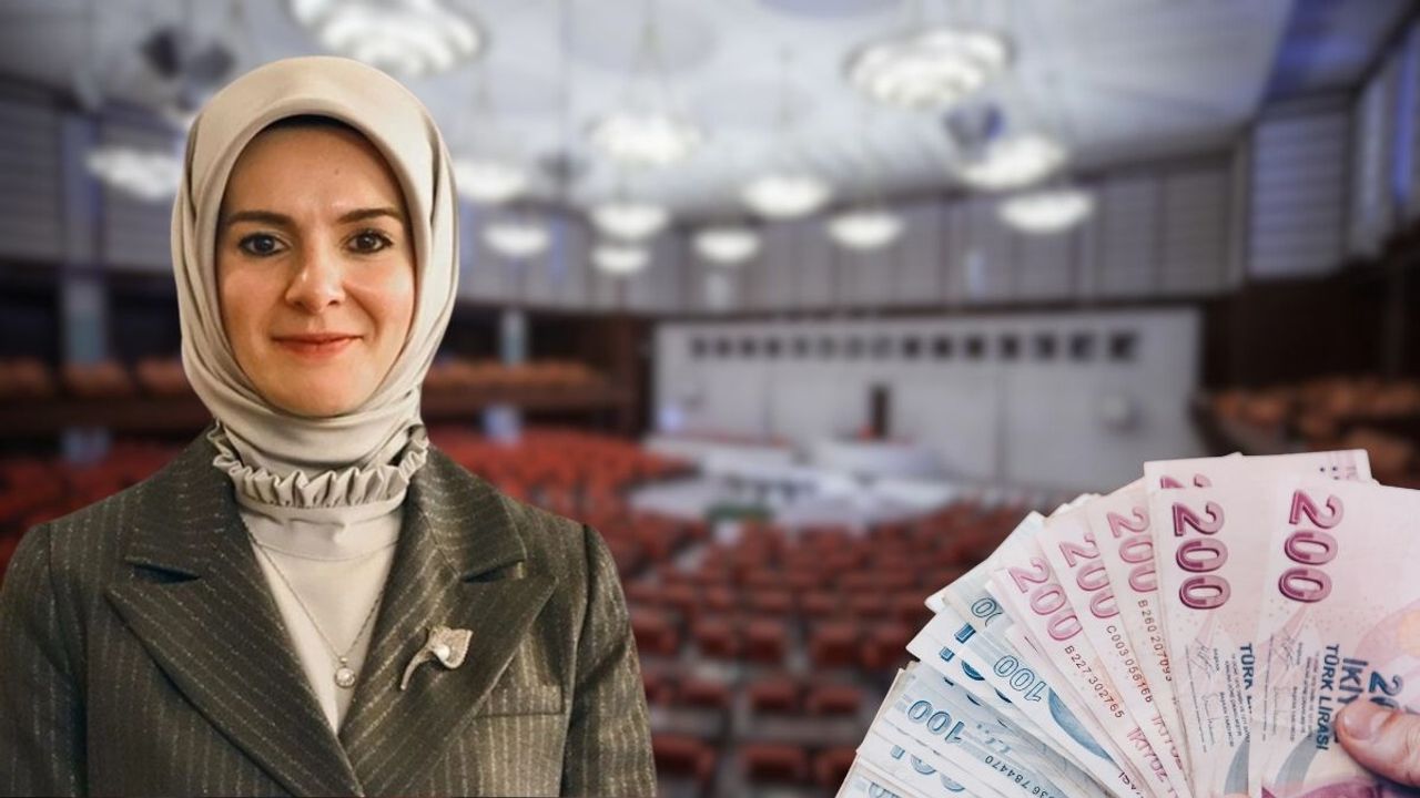 Destek ödemeleri yattı: SED başvuru şartları ve sorgulama adımları belli oldu