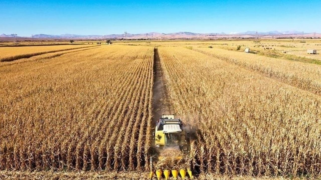 Tarımda maliyet baskısı artıyor! Tarım-GFE’den çarpıcı veriler