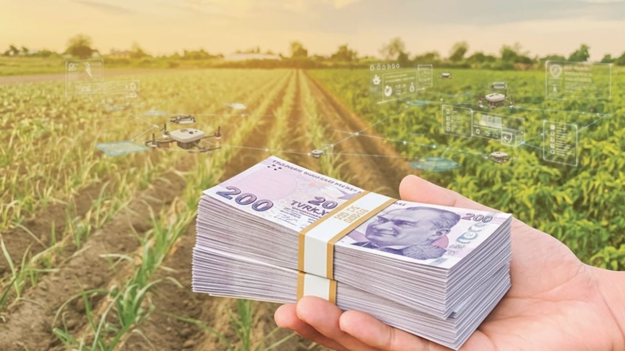 Gençlere ve kadınlara dev bütçe: Tarımda yüzde 70’e varan hibe dönemi başlıyor