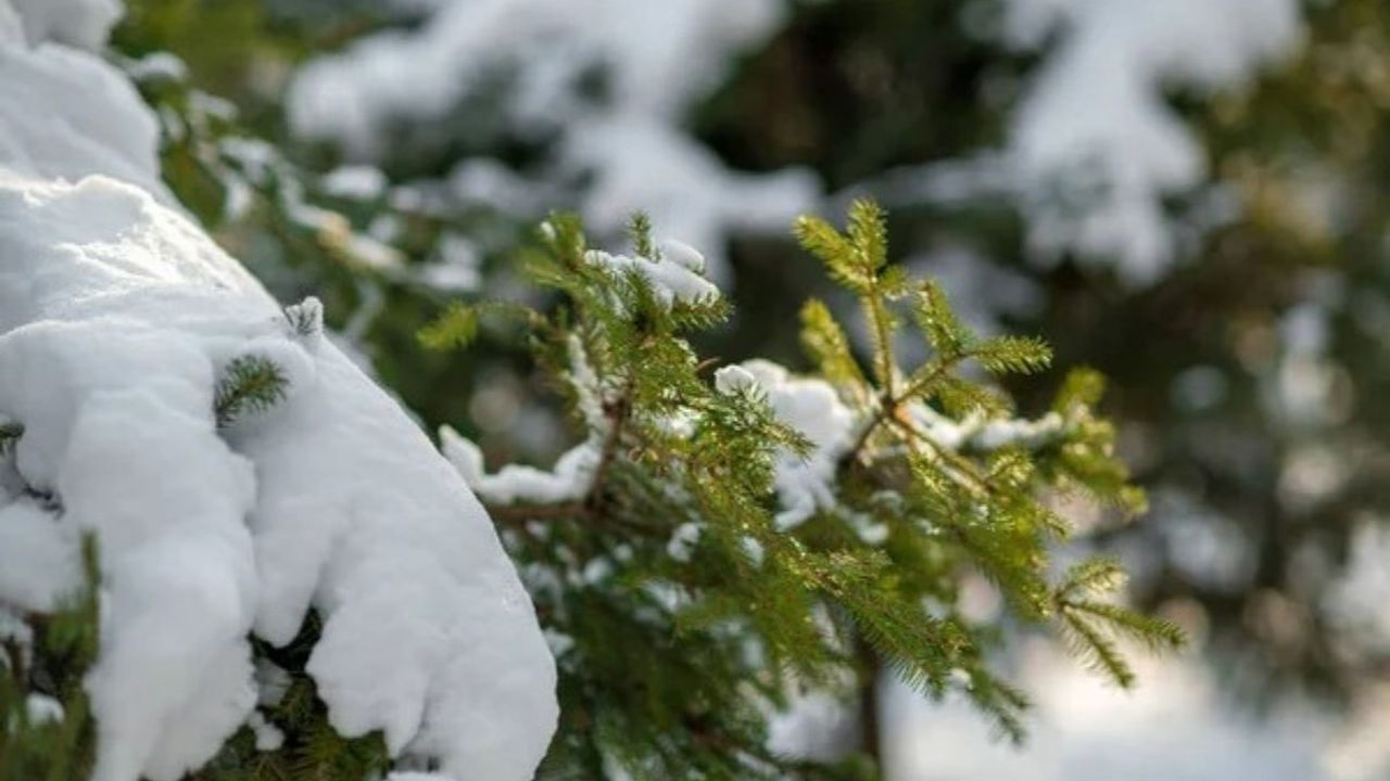 Kayseri hafta içi parçalı bulutlu ve kar yağışlı geçecek