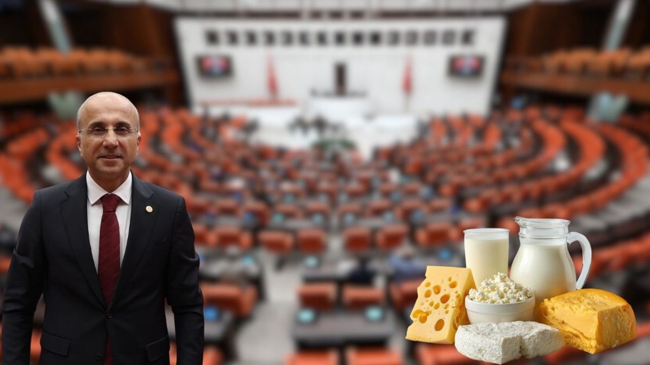 Kayseri vekili İncesu’daki meralar için meclisten seslendi