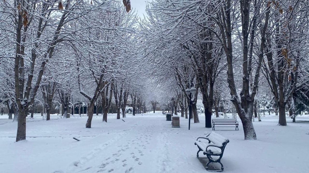 Kayseri'ye meteorolojiden uyarı! Sis ve don etkili olacak