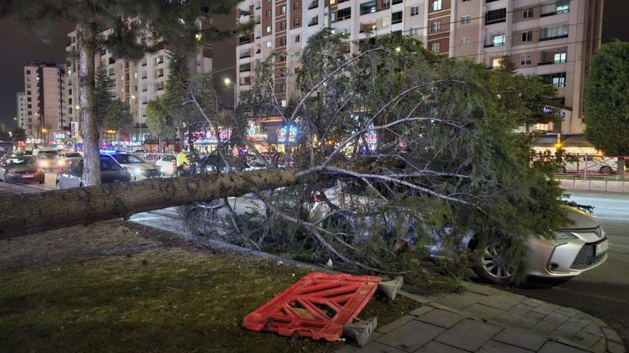 Talas Bahçelievler’de şiddetli rüzgar ağacı arabanın üzerine devirdi