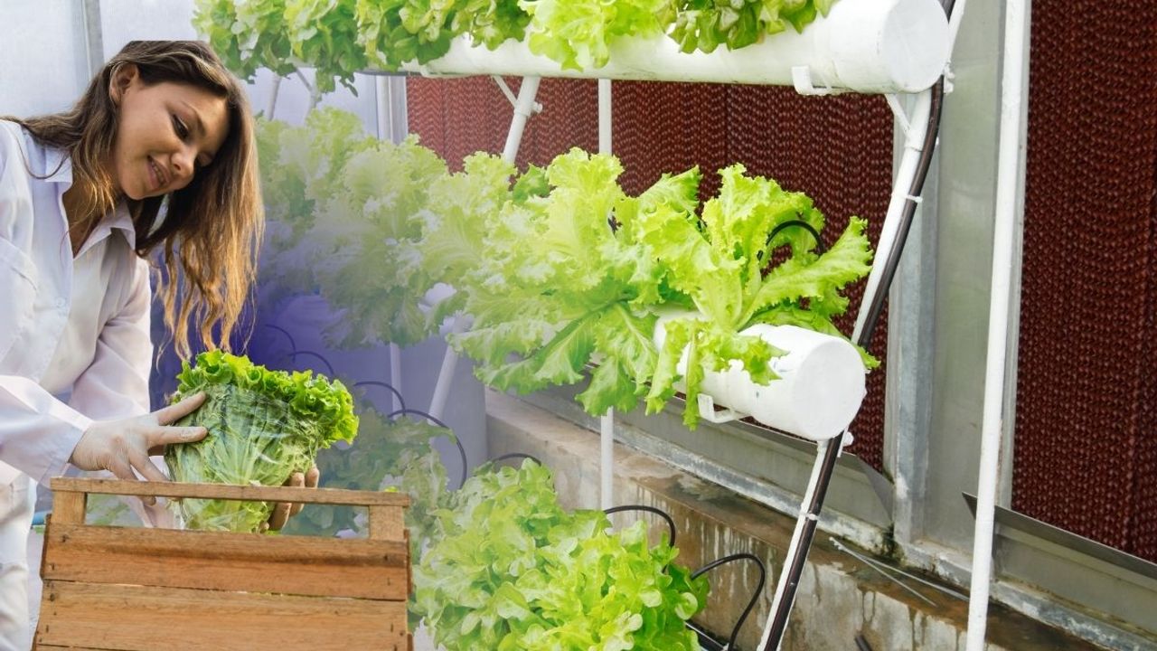 Kayseri İl Tarım , ERÜ ve KADEM İşbirliği: Kadınları merkeze alan protokol imzalandı